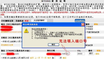 新網域名解析內網端口設置指南