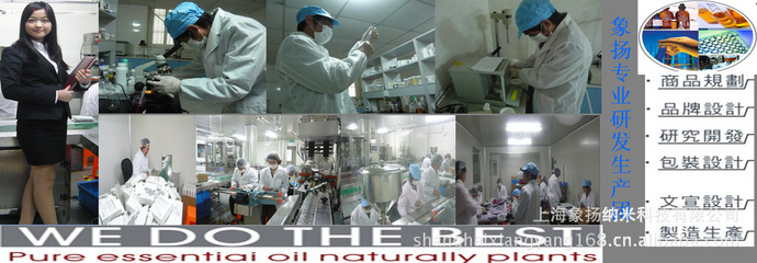 其它未分類_上海象揚(yáng)納米科技